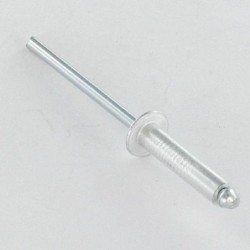 Blind revet RVS diam. 4 x10