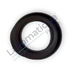 Seal radial 65x100x10 FPM...